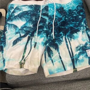 American Eagle Outfitters Tropical Blue Swim Shorts